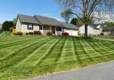 Lawn service 12
